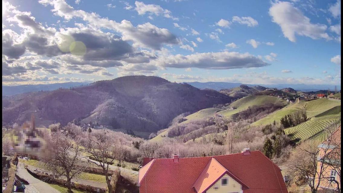 Hotel Wohlmuth-Lueckl Kitzeck im Sausal Exteriér fotografie