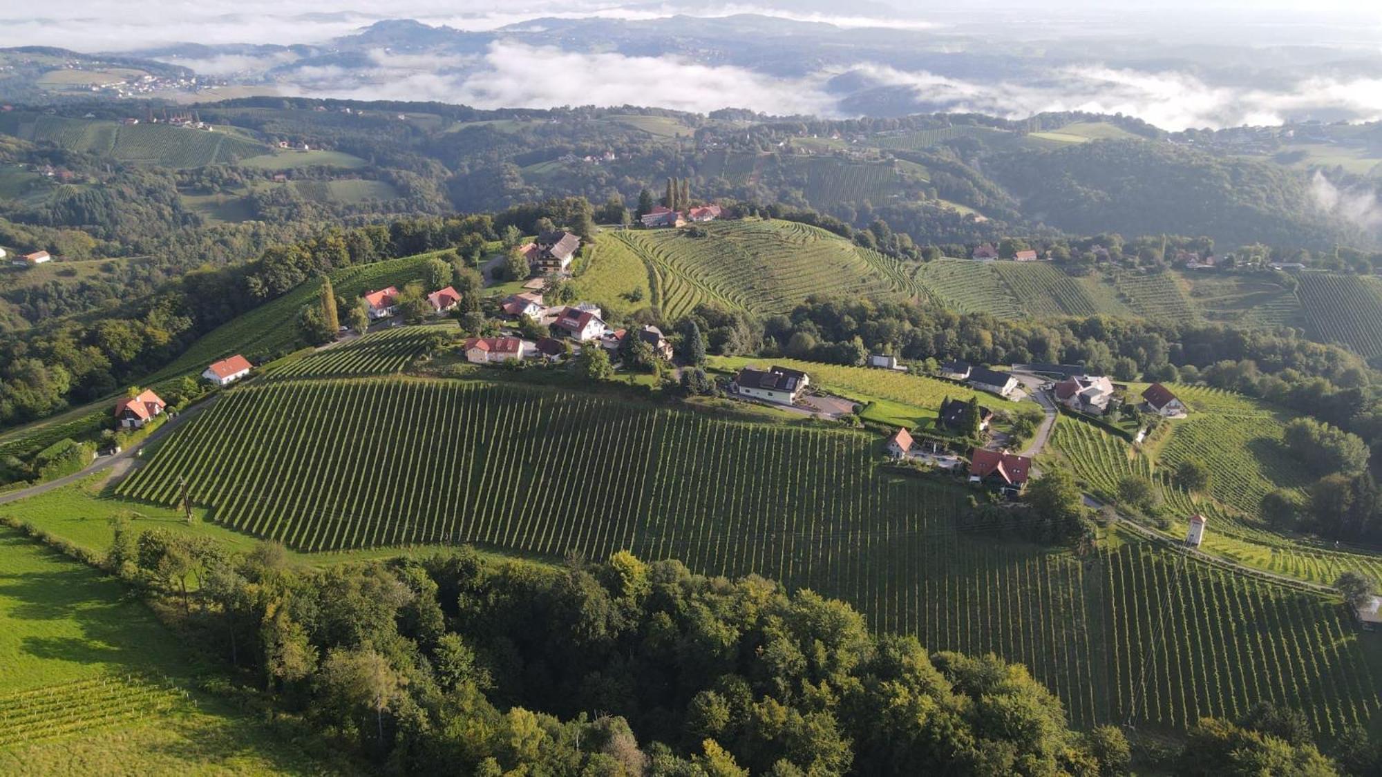 Hotel Wohlmuth-Lueckl Kitzeck im Sausal Exteriér fotografie