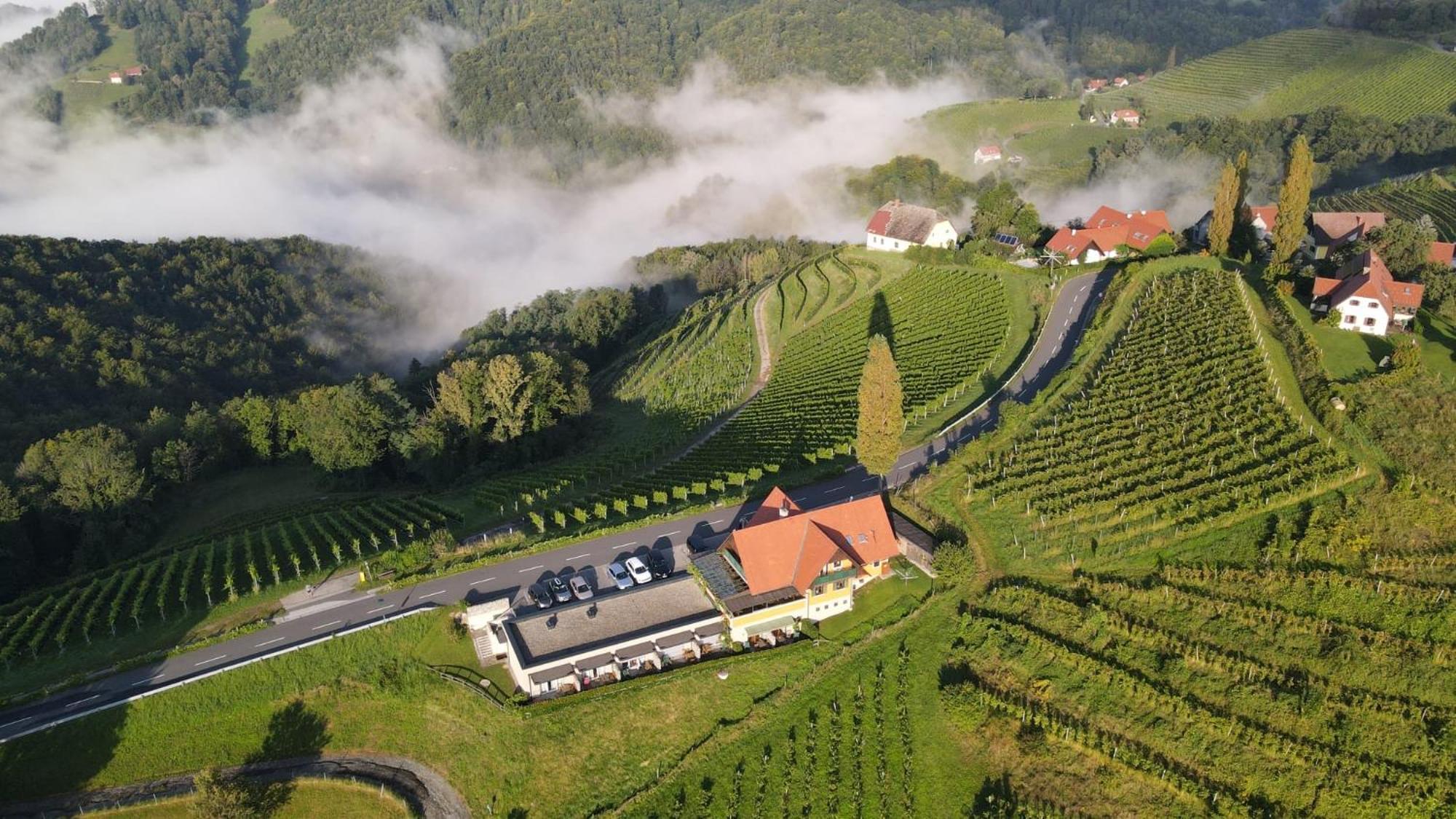 Hotel Wohlmuth-Lueckl Kitzeck im Sausal Exteriér fotografie