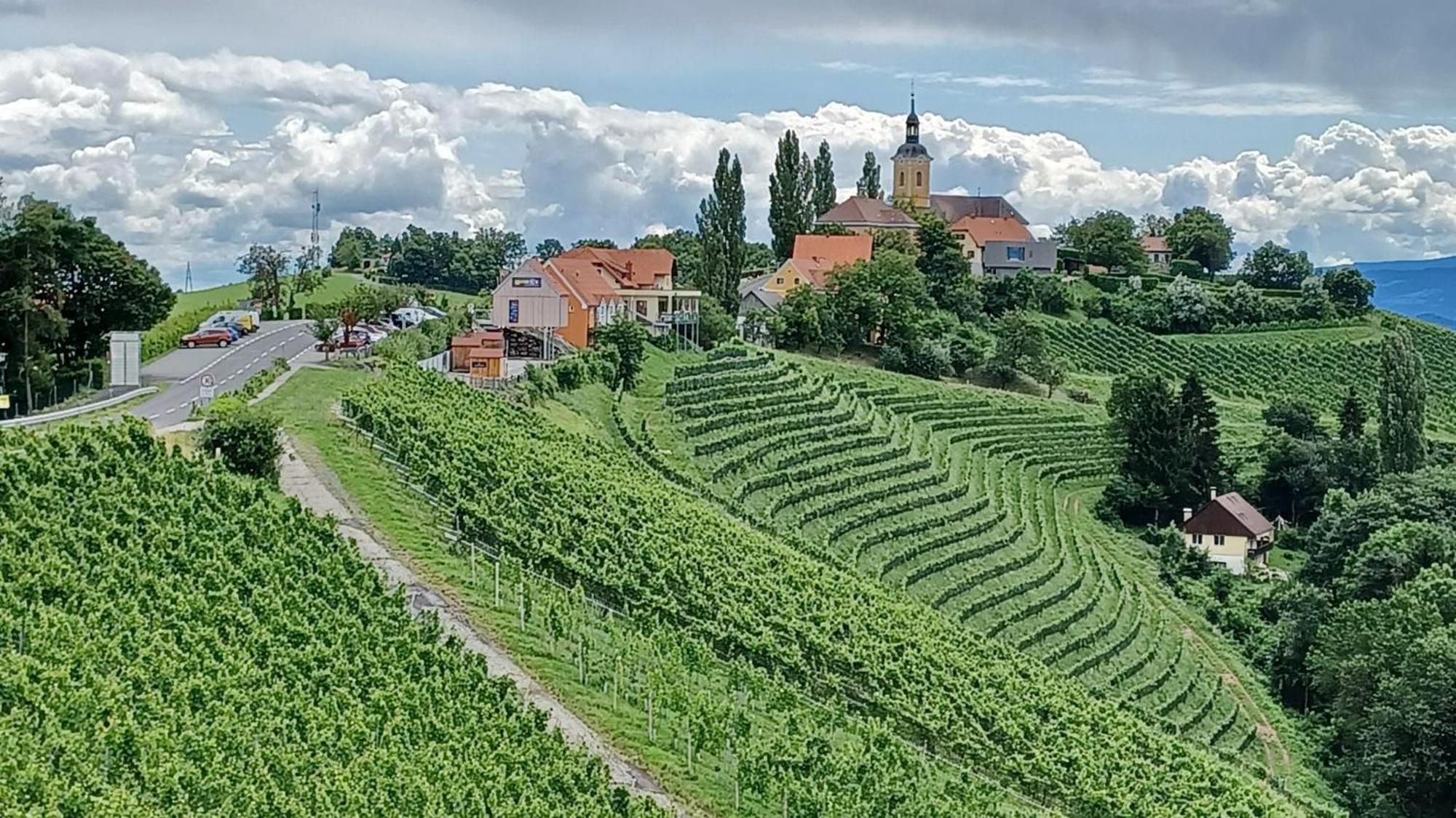 Hotel Wohlmuth-Lueckl Kitzeck im Sausal Exteriér fotografie