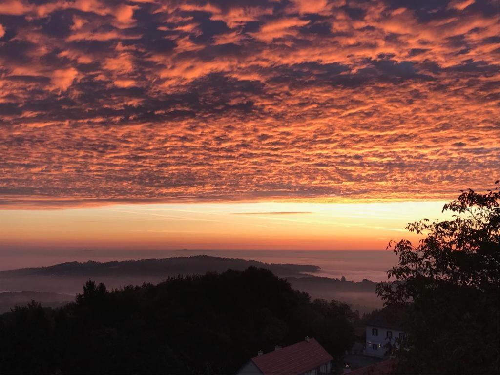 Hotel Wohlmuth-Lueckl Kitzeck im Sausal Exteriér fotografie